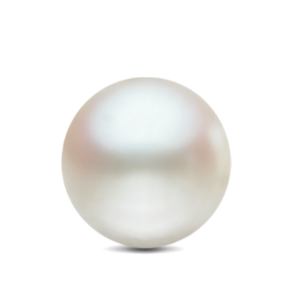 Picture for category PEARL