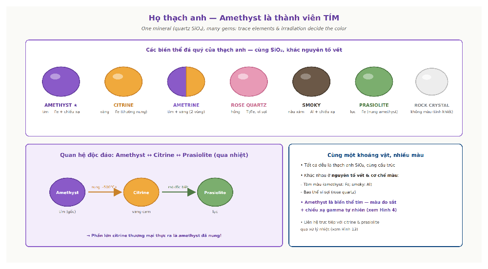 Quartz family amethyst citrine rose quartz smoky quartz prasiolite ametrine color varieties comparison