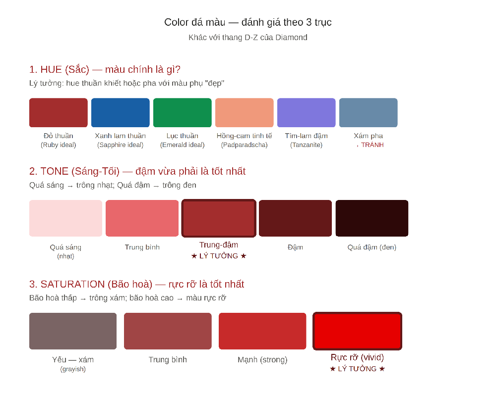 Hue Tone Saturation — 3 trục đánh giá màu sắc đá màu