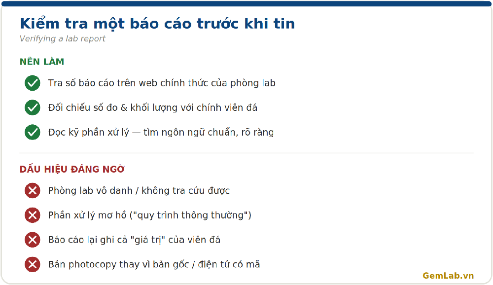 Kiểm tra báo cáo giám định: tra số, khớp đá, dấu hiệu đáng ngờ