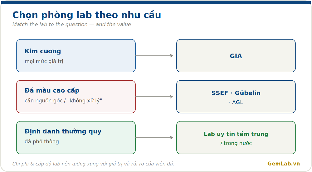 Chọn phòng lab theo nhu cầu: kim cương, đá màu cao cấp, định danh thường quy