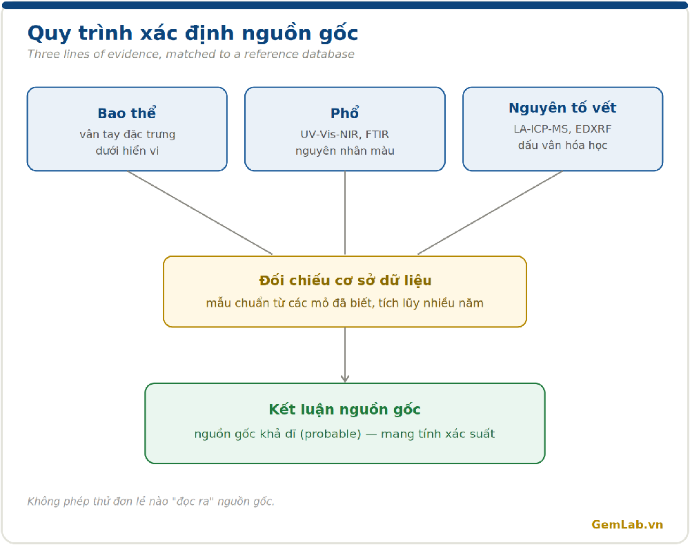 Quy trình xác định nguồn gốc: bao thể, phổ, nguyên tố vết, đối chiếu cơ sở dữ liệu