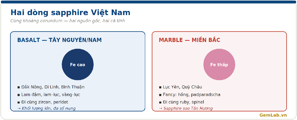 Hai dòng sapphire Việt Nam: basalt-hosted Tây Nguyên và marble-hosted miền Bắc