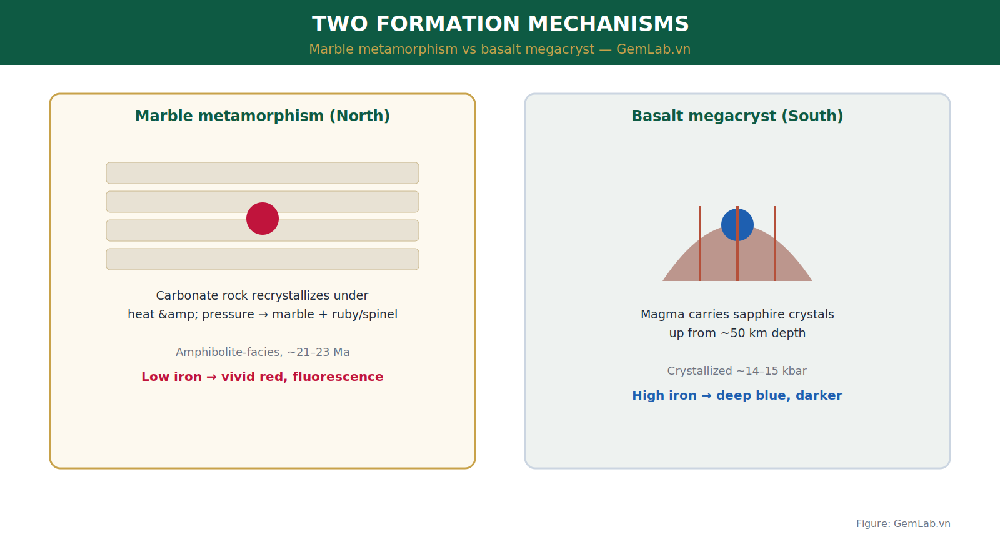 Two formation mechanisms: marble metamorphism versus basalt megacryst, behind Vietnamese gemstones