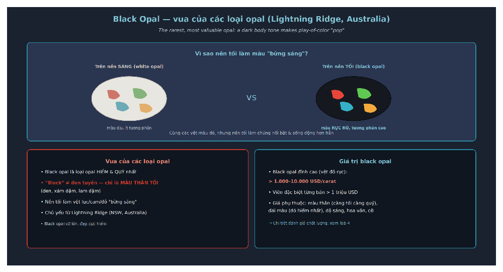 Black opal Lightning Ridge most valuable dark body tone play of color pop contrast rare king