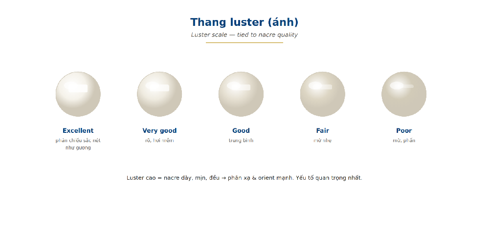 Pearl luster scale excellent very good good fair poor mirror reflection nacre quality GIA